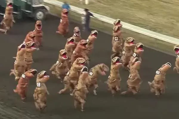 T-rex-race2